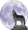 wolfmoon2.gif (5719 bytes)